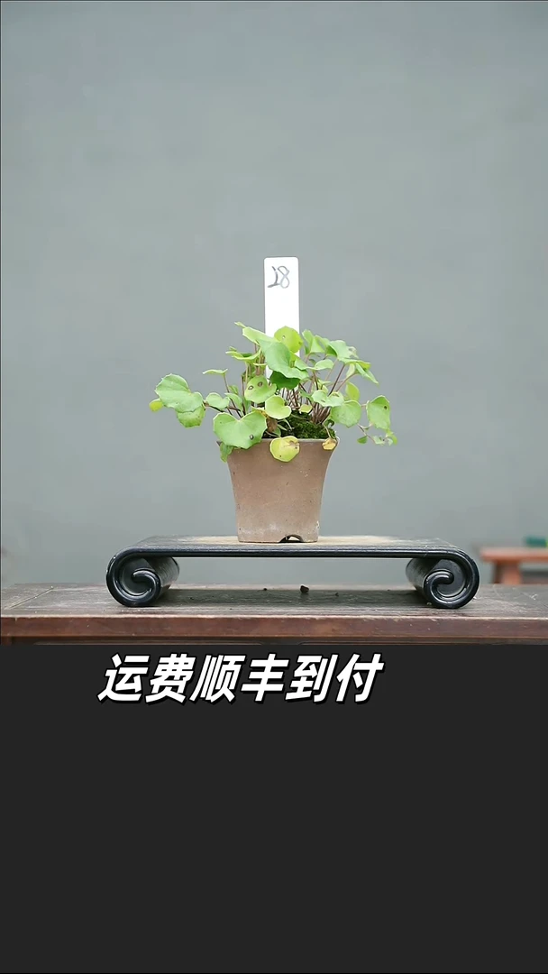 万**意28