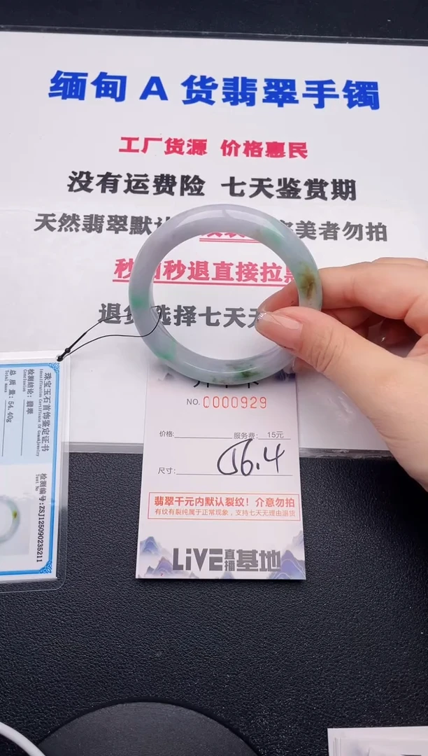 未镶嵌手镯翡翠29