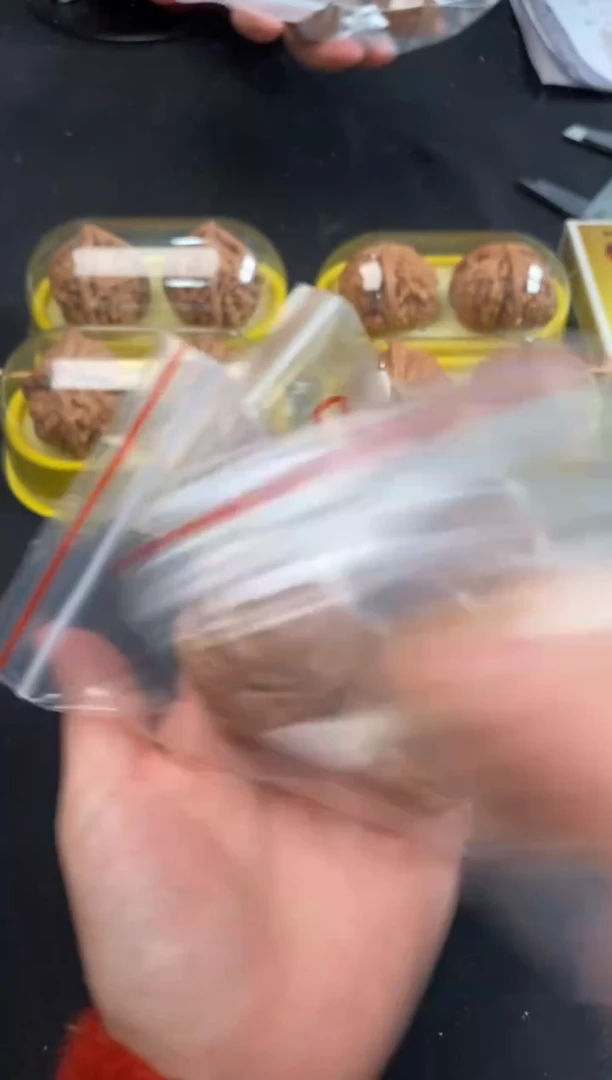 把件文玩核桃霸王龙随机发