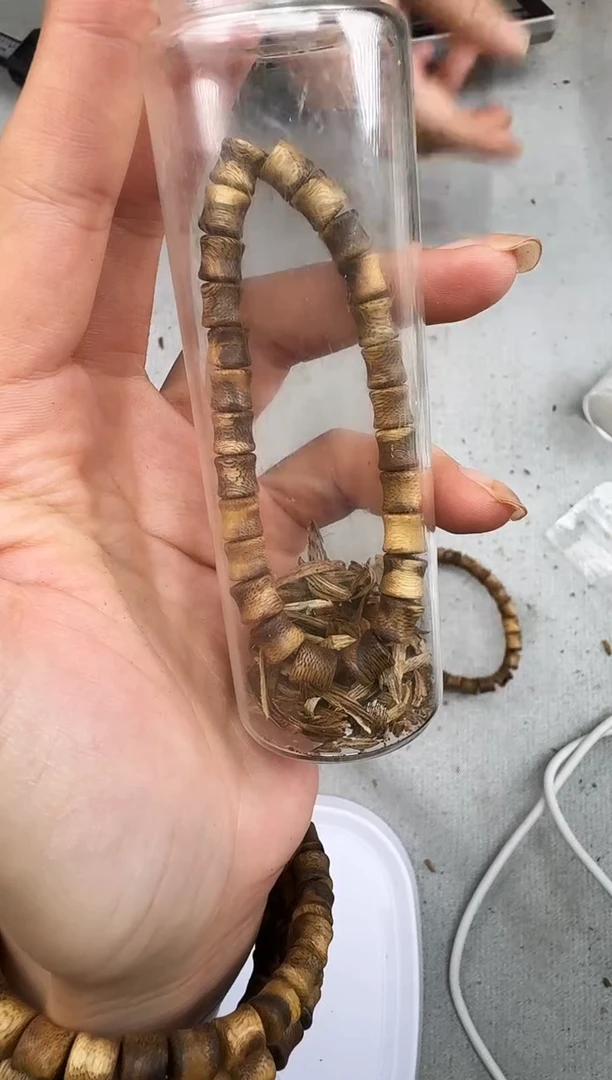 沉香沉香碎屑0603白棋竹节静静沉香甄选多样性发一