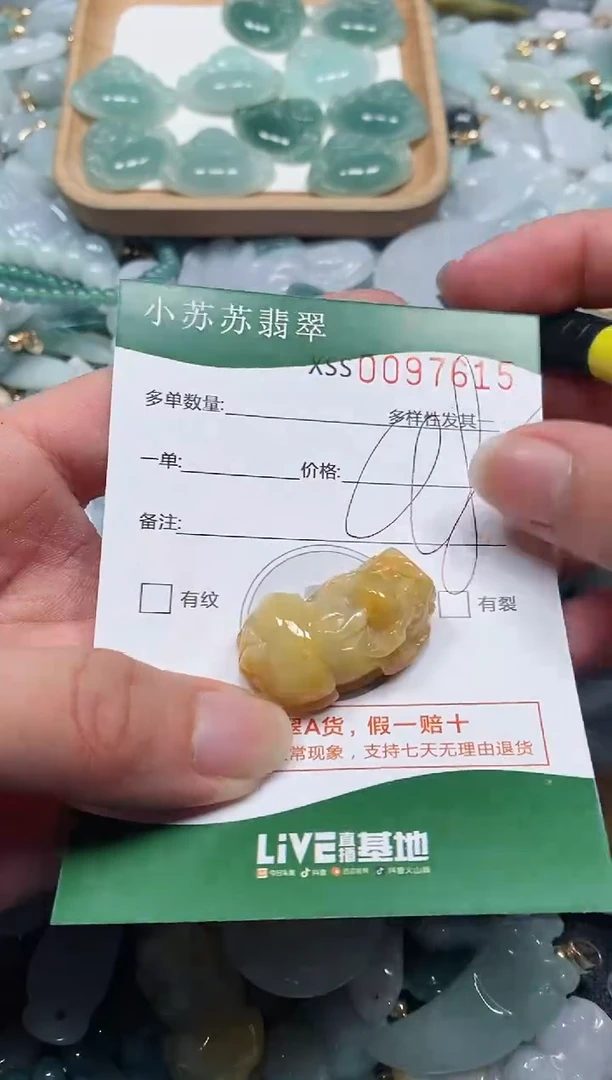 【闪购商品】翡翠颈饰未镶嵌闪购商品0097615