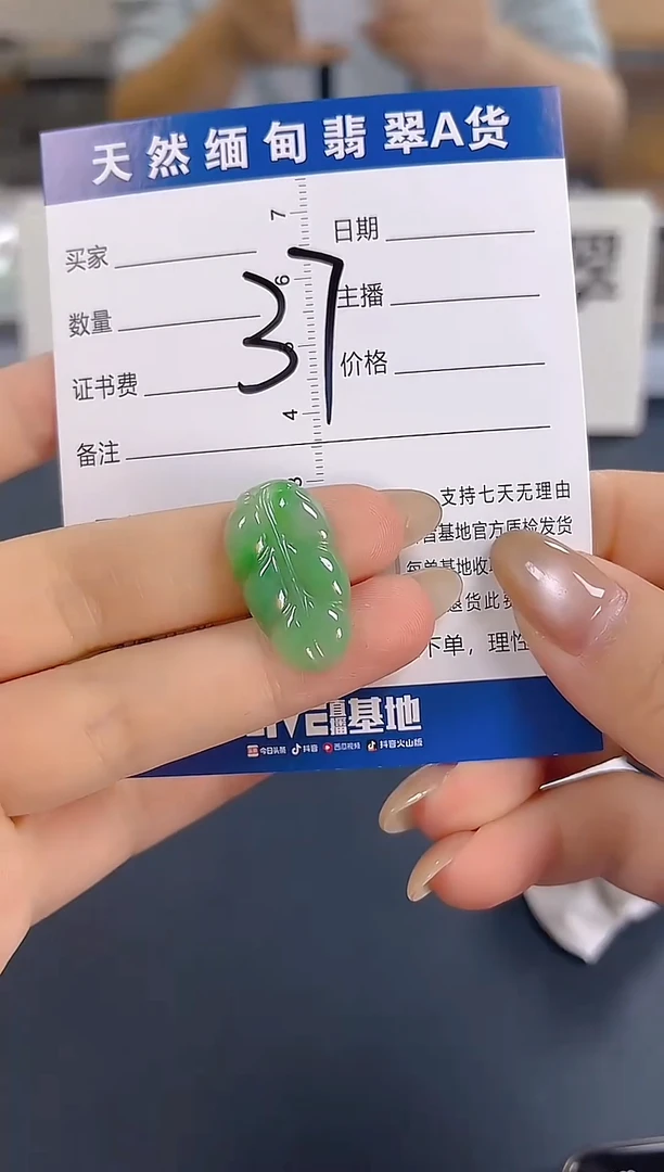 颈饰未镶嵌翡翠纯天然缅甸翡翠A货