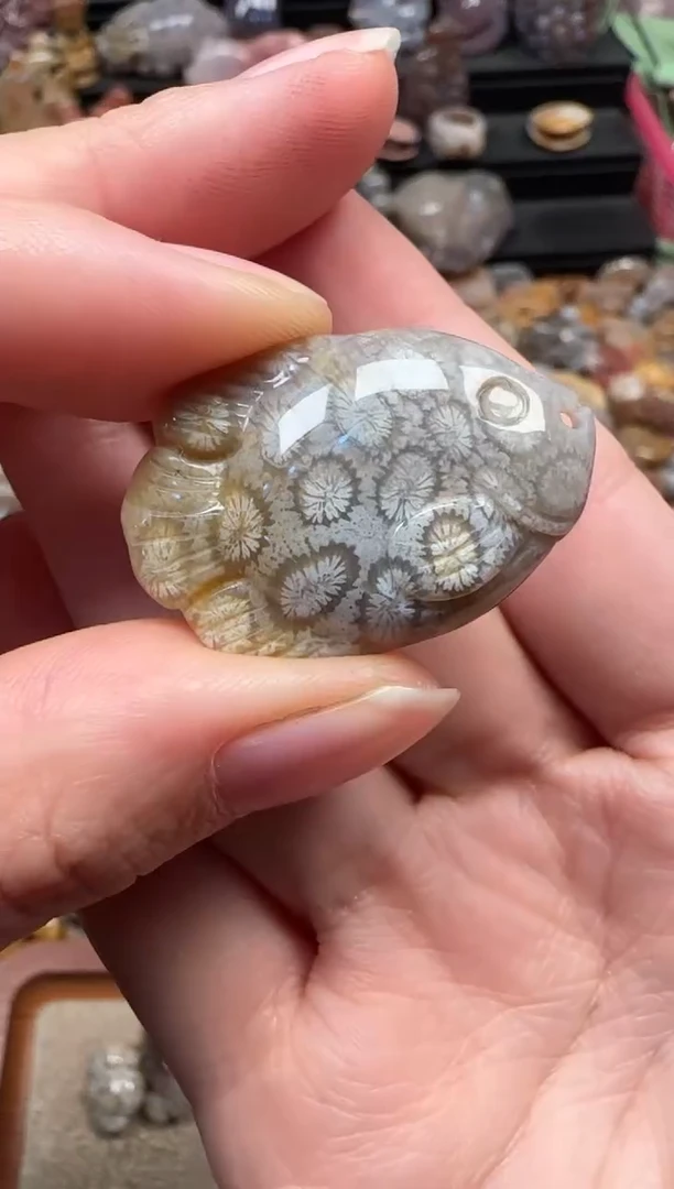 颈饰未镶嵌硅化珊瑚（珊瑚玉）900