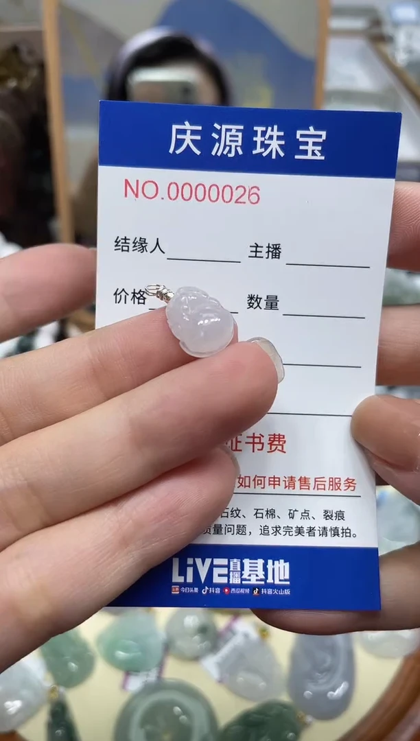 翡翠未镶嵌颈饰001