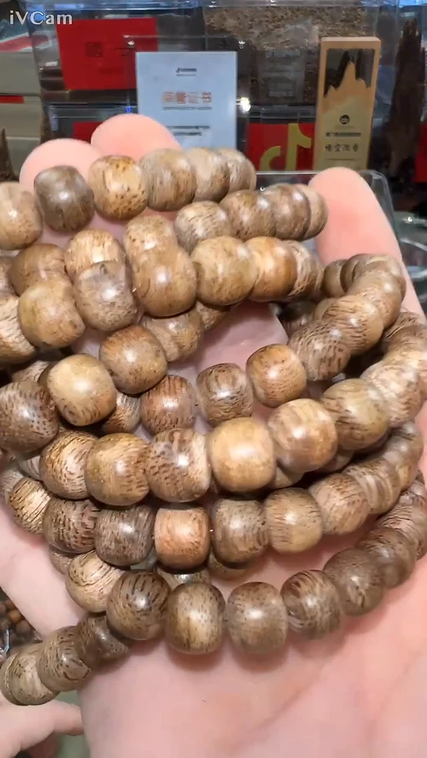 索隆岛红土鼓珠单圈多样性发其一