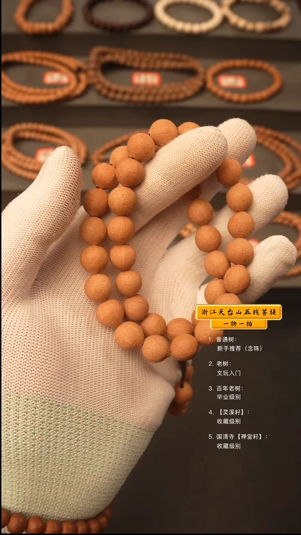 吊坠五线菩提手持6线