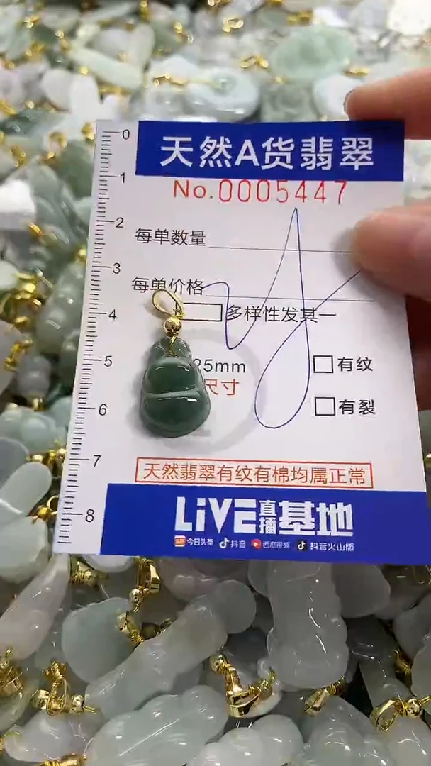 颈饰未镶嵌翡翠天然A货翡翠