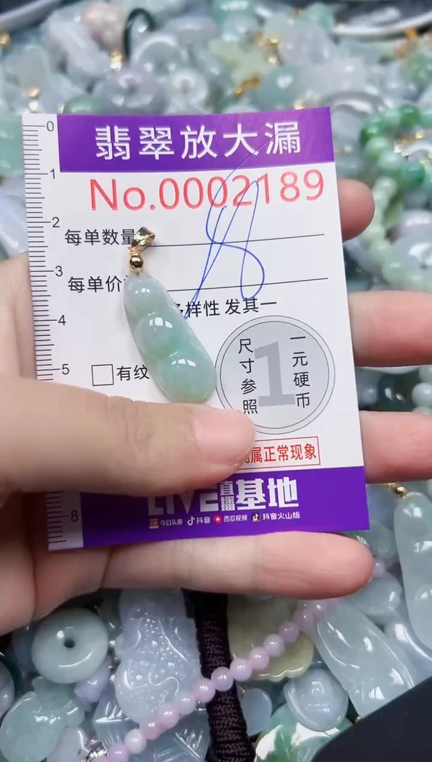 颈饰未镶嵌翡翠2189