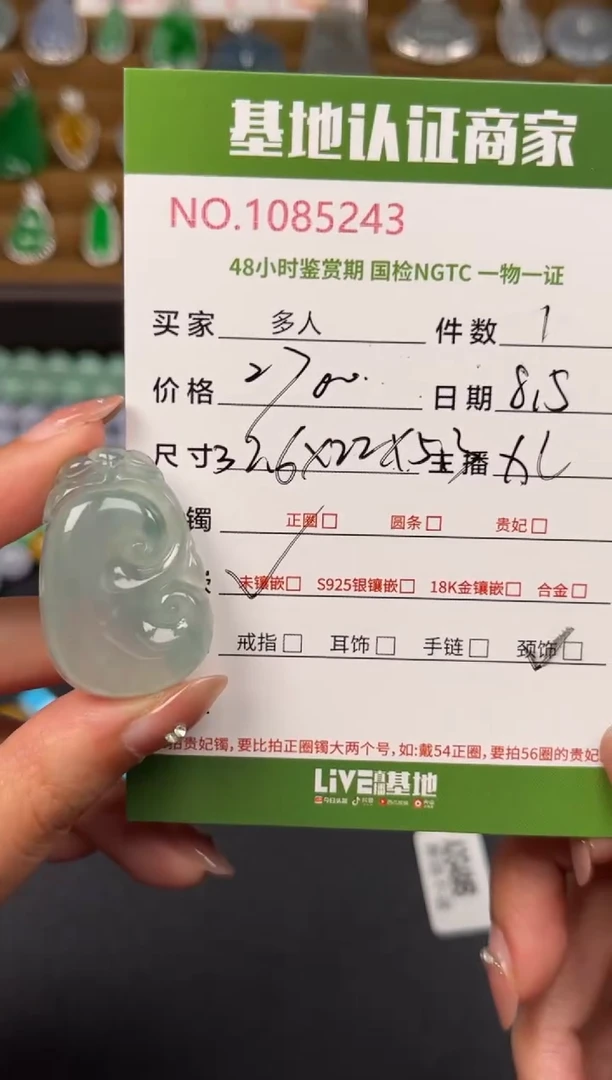 翡翠未镶嵌颈饰多人