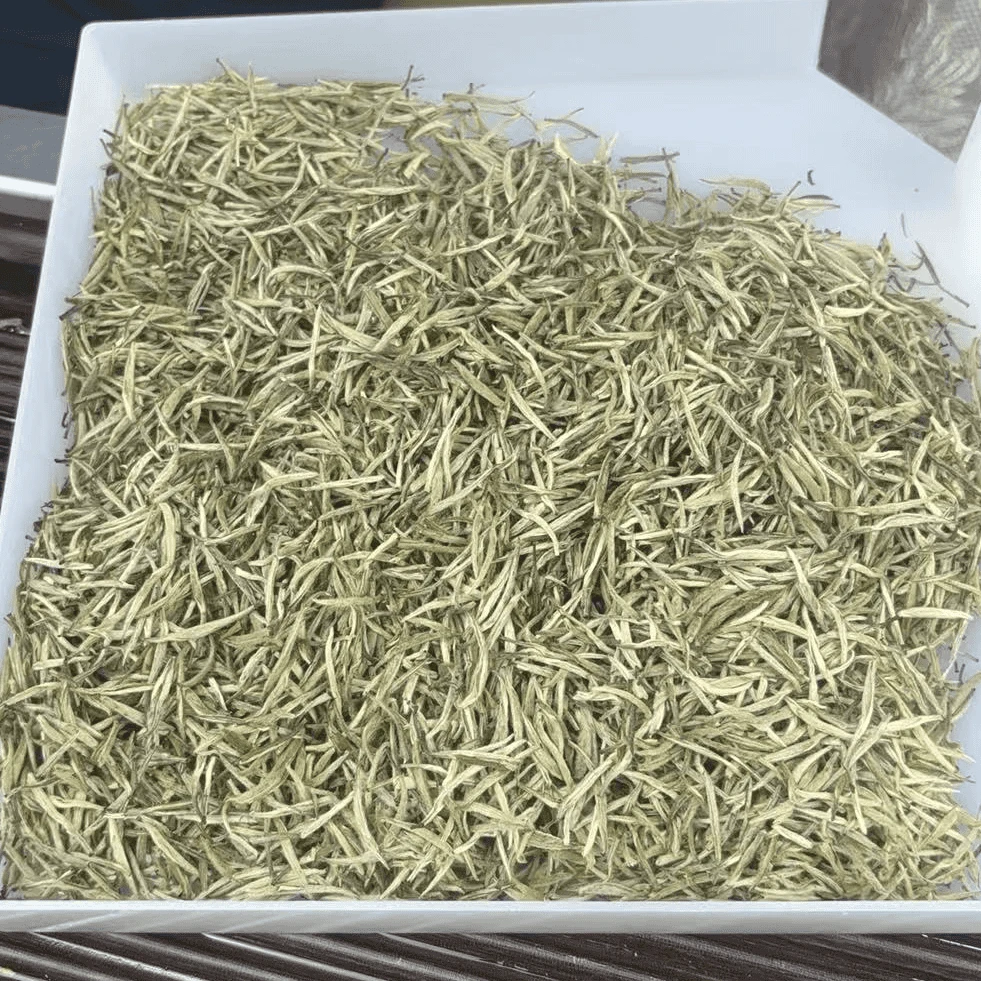 雪影问鼎兰飞  嫩芽兰花传统窨制