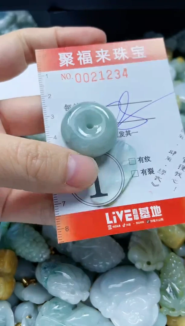 【闪购商品】翡翠颈饰未镶嵌闪购0021234