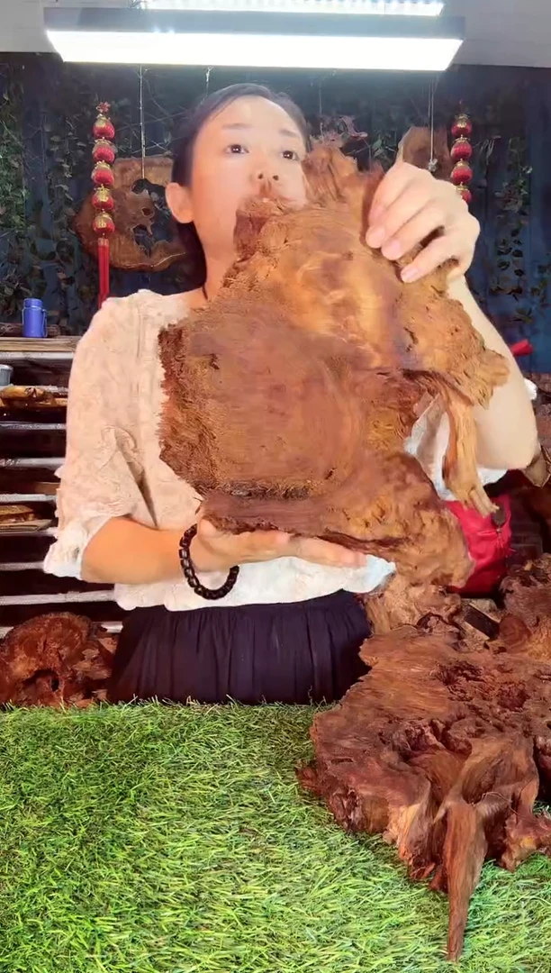 香杉木香衫树根榴6