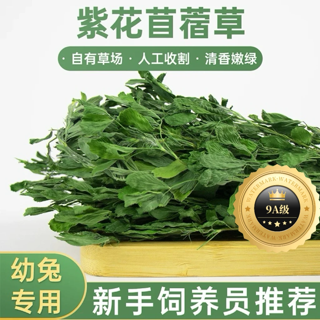 烘干紫花苜蓿草幼兔龙猫猪专用食用高蛋白牧草