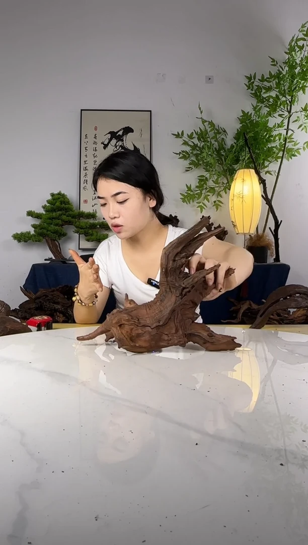 ?****?沉木一物一拍链接