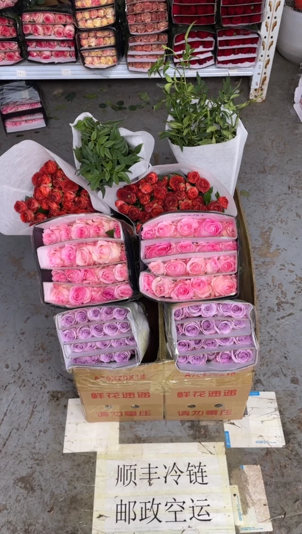 洛神20枝+海洋之歌20枝+巧克力10枝+九星叶