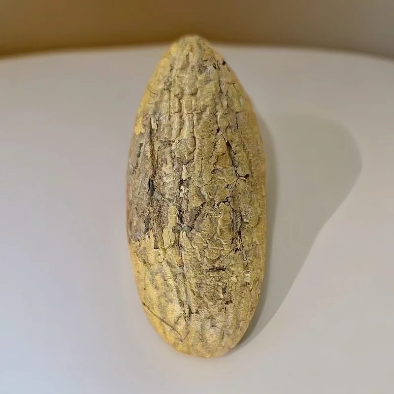 精选霸王果千眼菩提纯手工打磨原籽精美花纹吊坠摆件手把件挂件