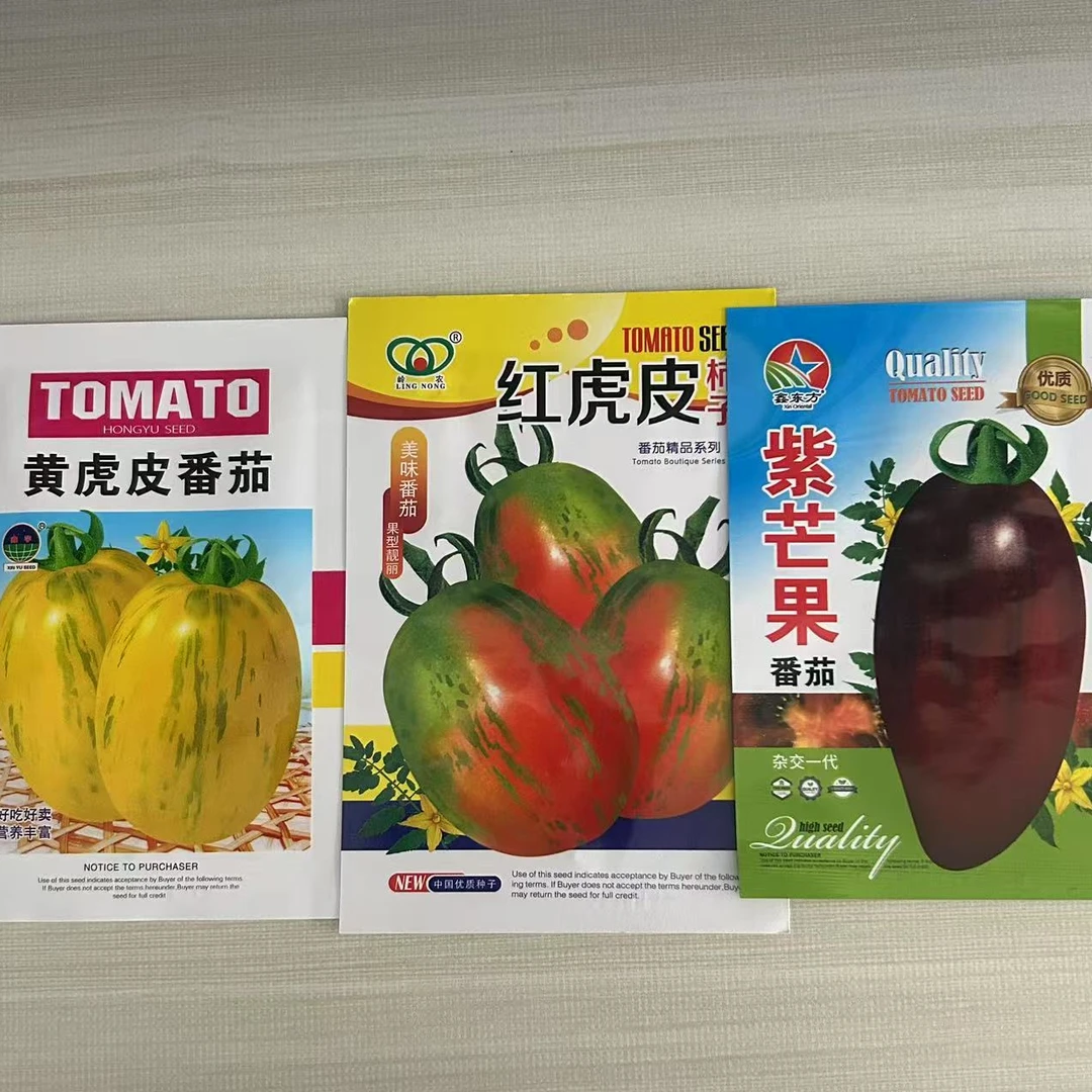 厂家活动柿子籽黄虎皮红虎皮紫芒果【柿子种子】