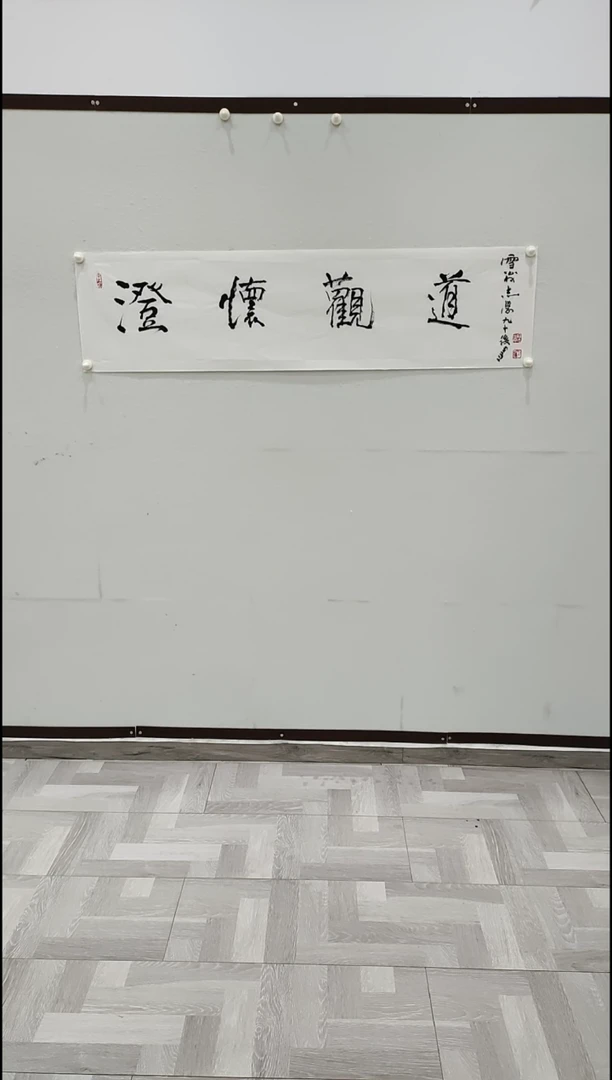 书法于志学  澄怀观道  4平尺