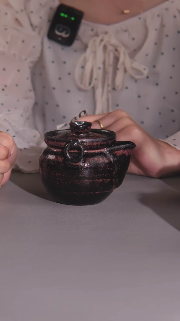 480黑砂宝瓶壶茶器茶壶茶具