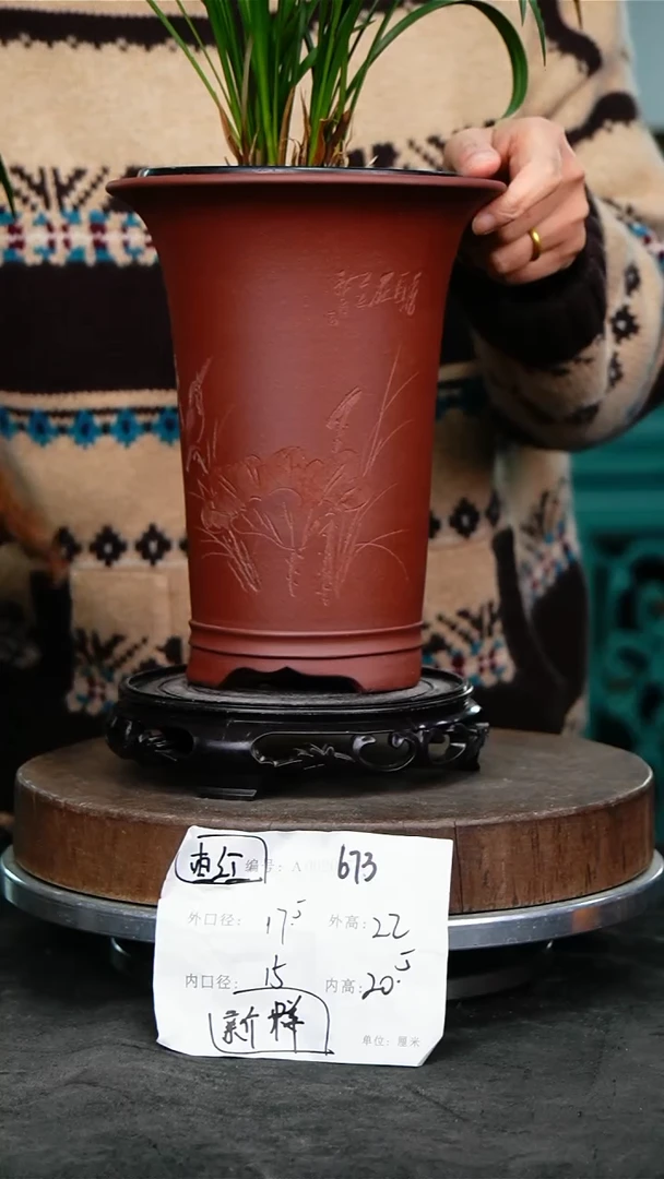 紫砂花盆花卉园艺673+s