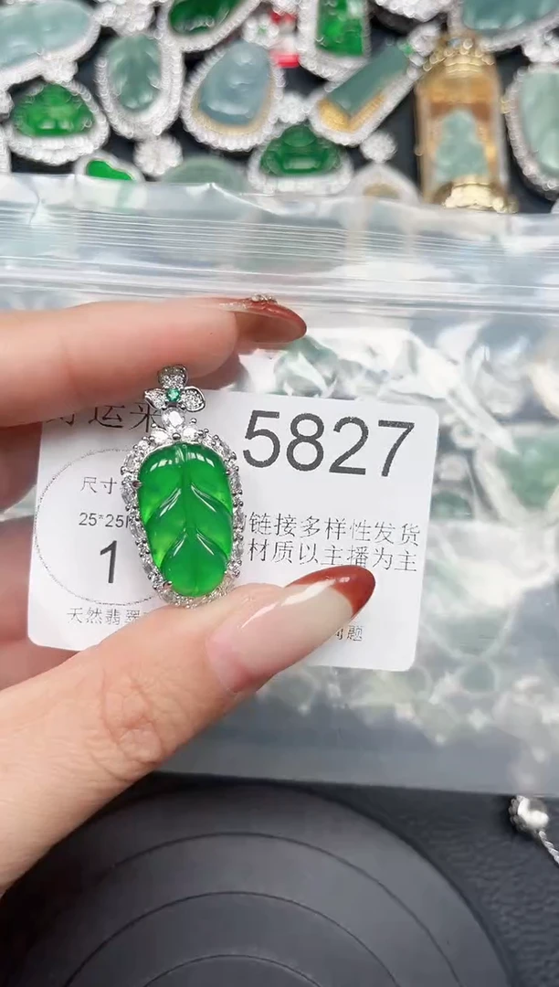 【闪购商品】翡翠颈饰未镶嵌吊坠赠皮绳5827