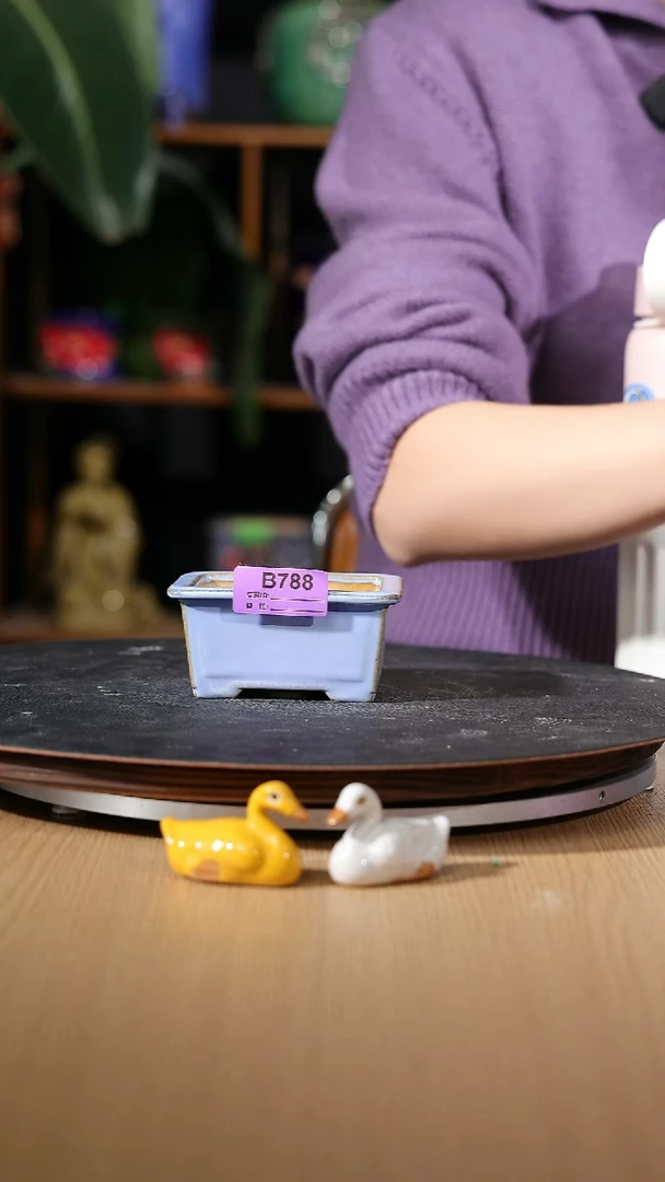 【石湾花盆】掌中宝比*毕788