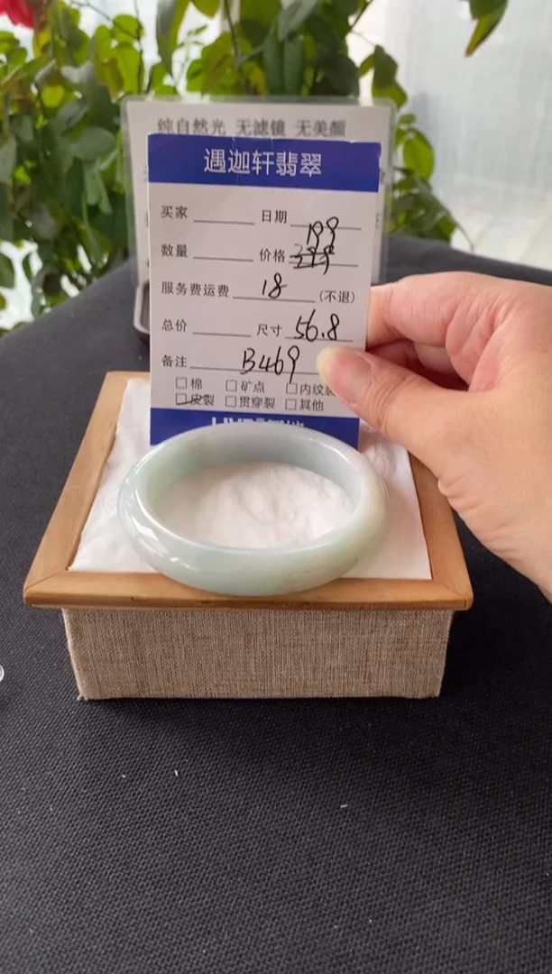 未镶嵌手镯翡翠56.8圈口 B469编码