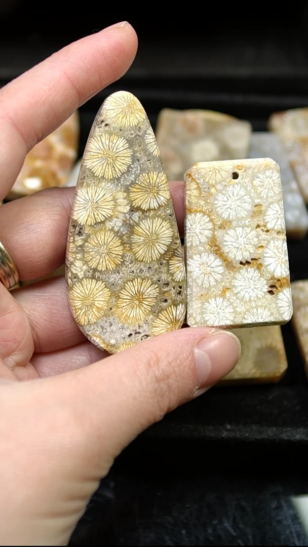 未镶嵌颈饰硅化玉骨骼花20一个手工牌