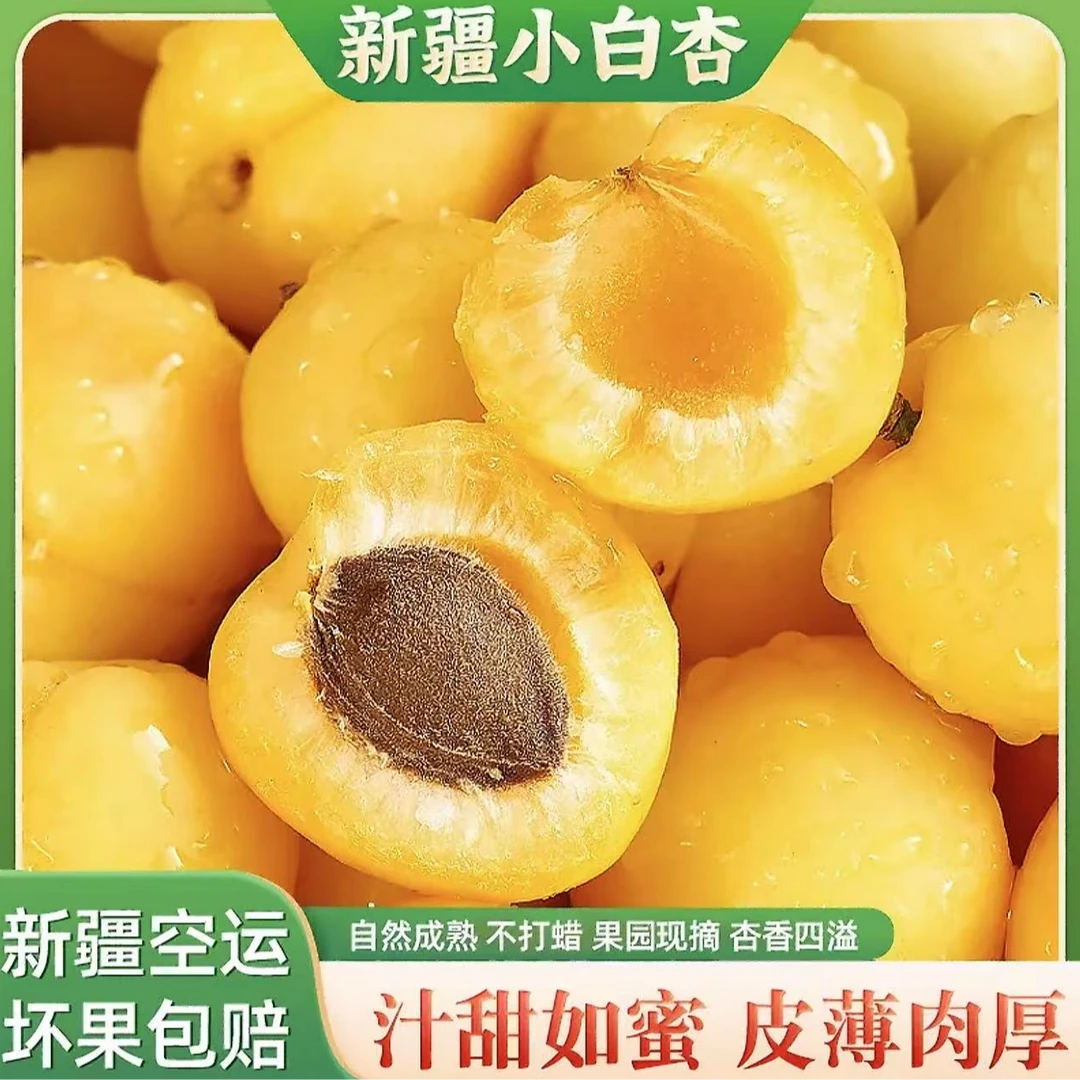 【水果外卖】新疆空运小白杏【净重3斤】小礼框 软糯香甜 头茬尝鲜