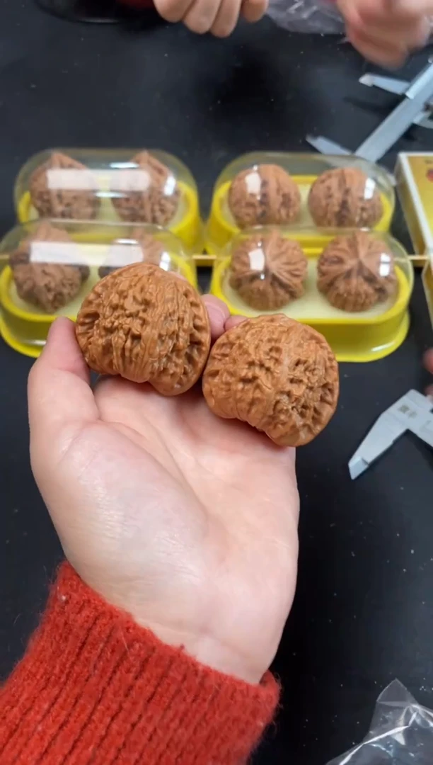 把件文玩核桃白狮子43尺Z488