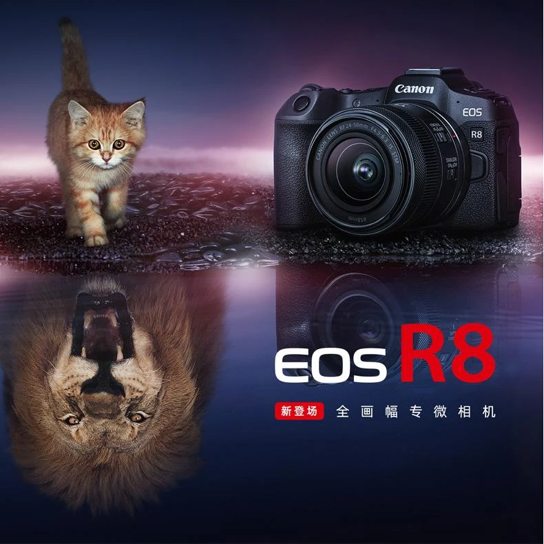 Canon/佳能EOS R8微单相机全画幅高清照相专业级摄影拍照相机