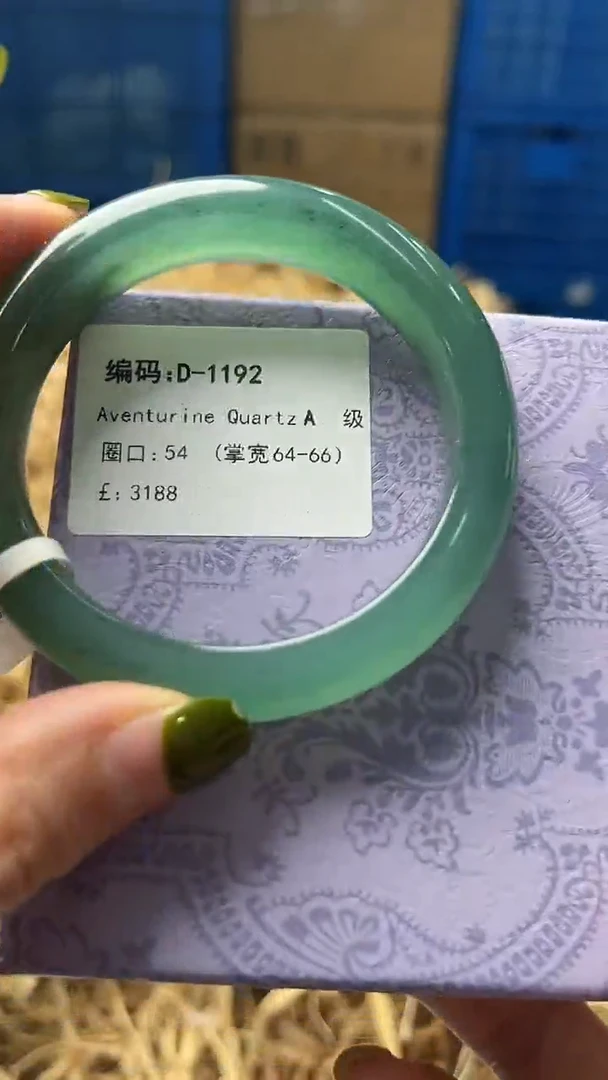 未镶嵌手镯石英质玉D1192