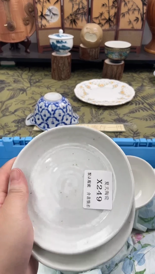 瓷片F****?X249+2默认微瑕闪购默认库存一件