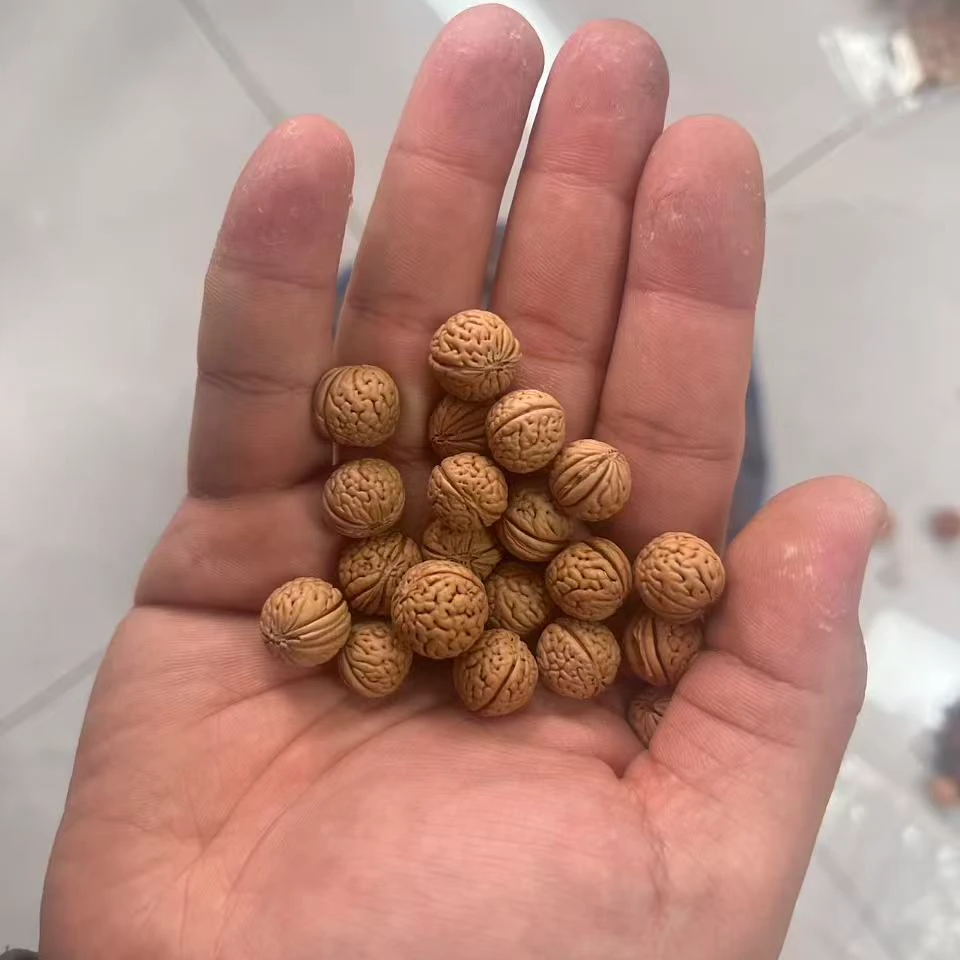 专用商品桃核子啦啦啦啦啦