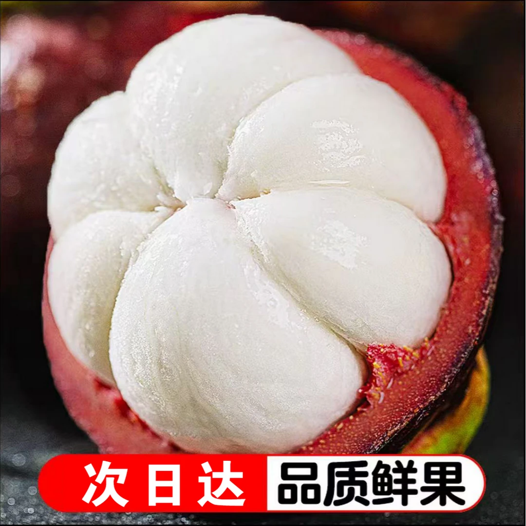 【6A山竹】新粉福利泰国新鲜老树麻竹