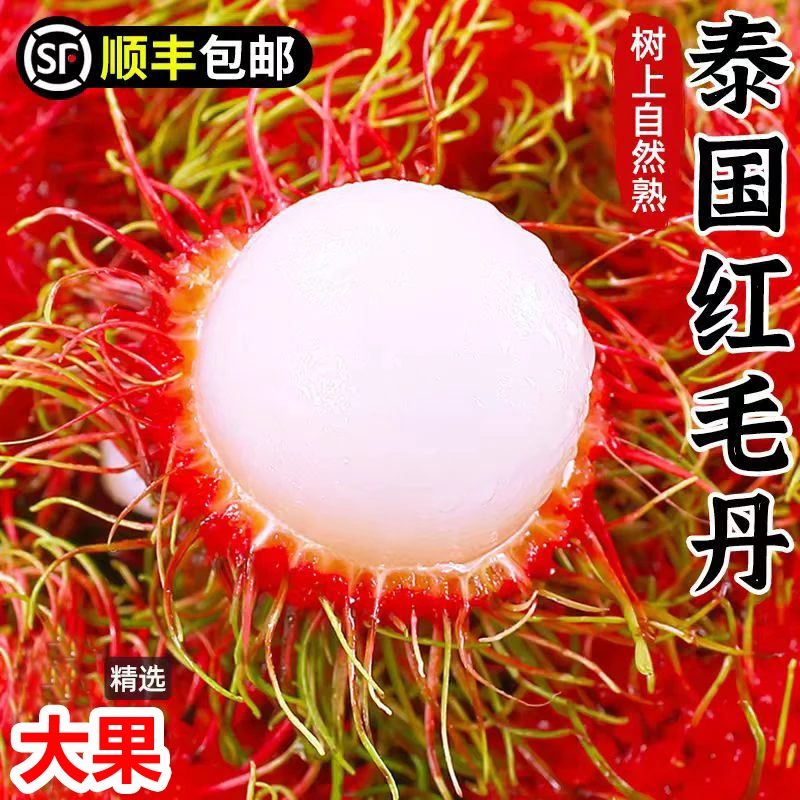 【顺丰冷链】泰国红毛丹新鲜顺丰冷链现摘现发应季热带包邮孕妇水果   坏果包赔