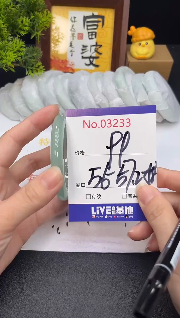 未镶嵌手镯翡翠3233