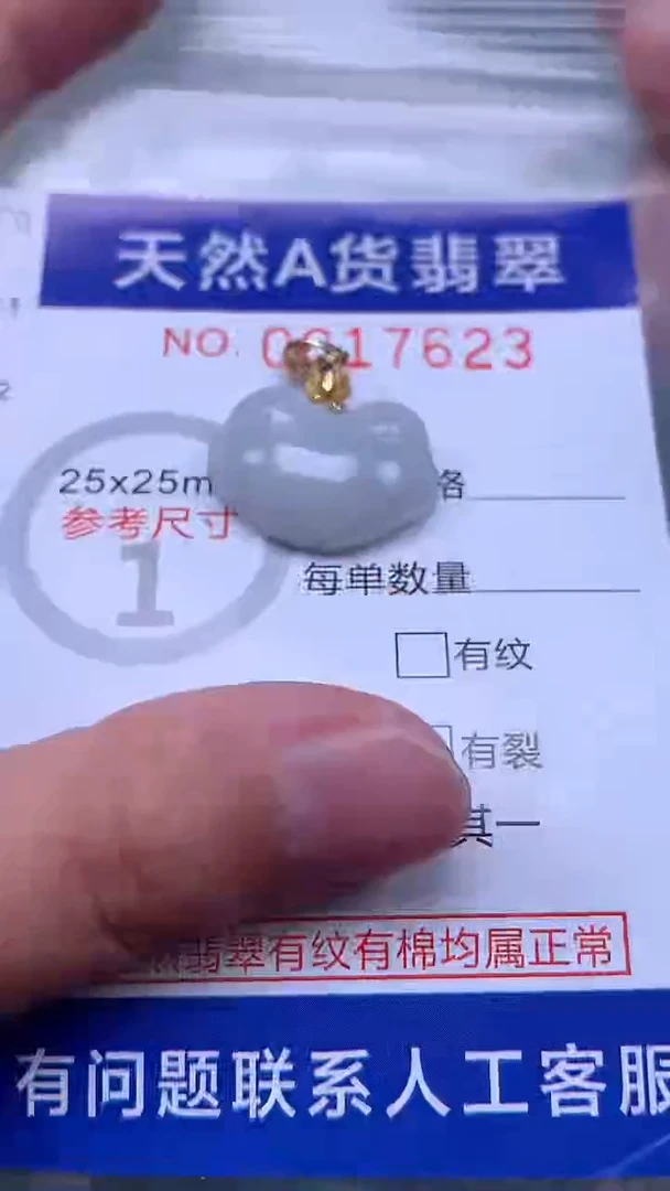 翡翠未镶嵌吊坠(不含链)1