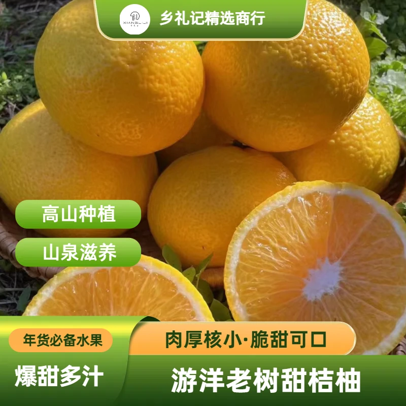 仙游游洋老树桔柚精品果/水润多汁/果肉细腻/老少皆宜/现摘现发