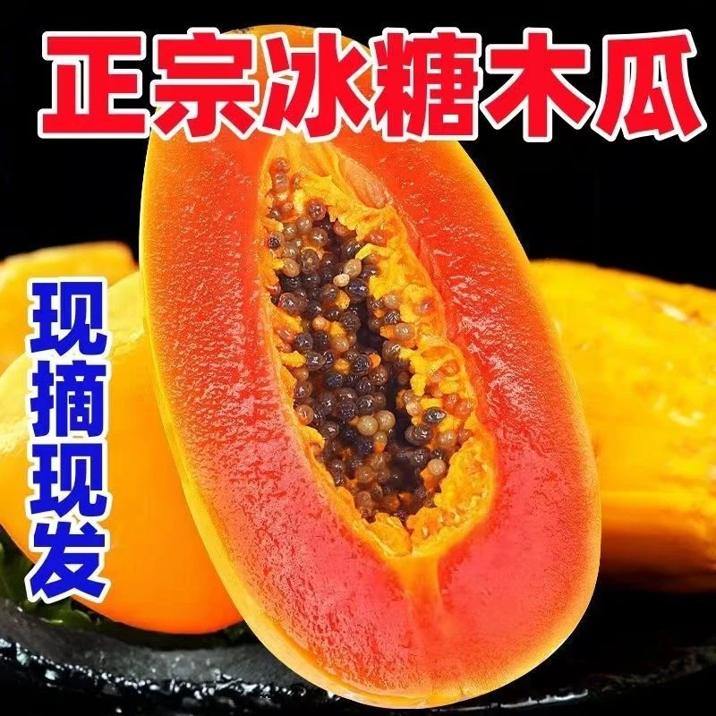 【真正树熟】树熟即食纯甜木瓜清甜木瓜3/5斤包邮当季新鲜采摘