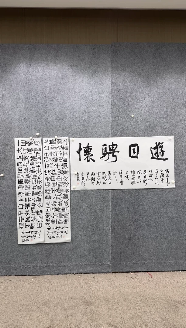 【闪购商品】书法pmw不二轩旗舰店书法SSC1