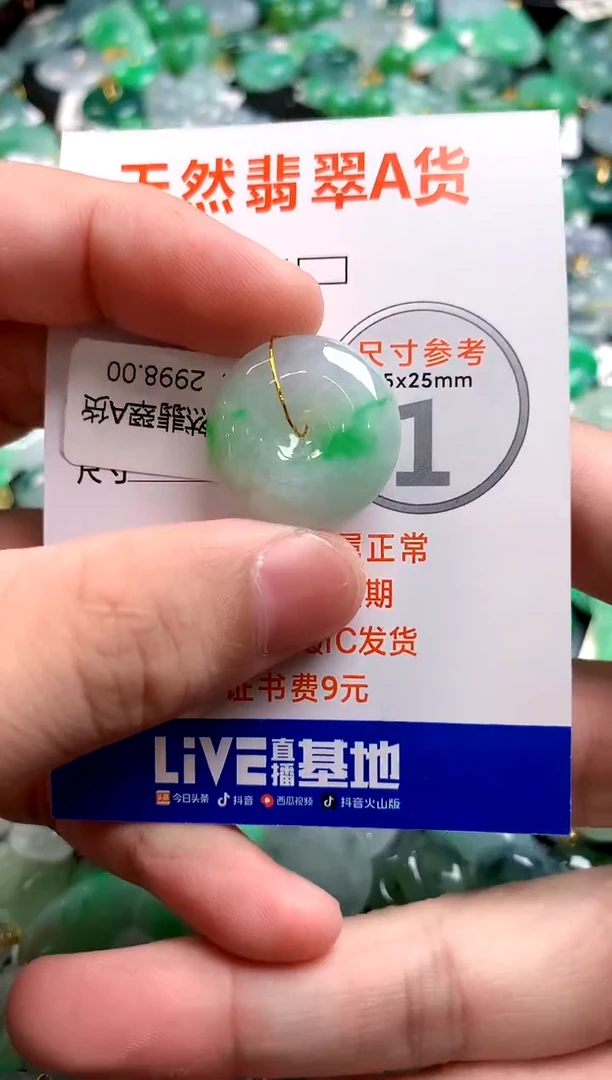 颈饰未镶嵌翡翠1003002303