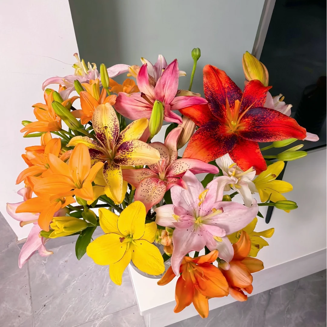 小美专属『亚百百合盲盒10支送10只』家居养花鲜花批发直播 全场两单顺丰包邮次日达 养护教程联系客服