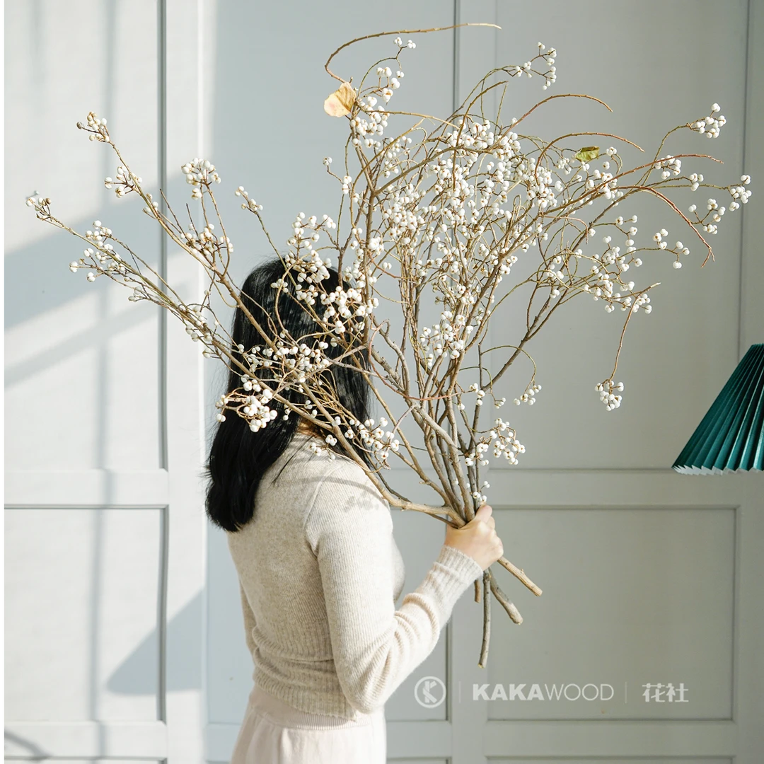 北欧ins民宿装饰天然树枝干花干果插花花束搭配乌桕果小白果装饰