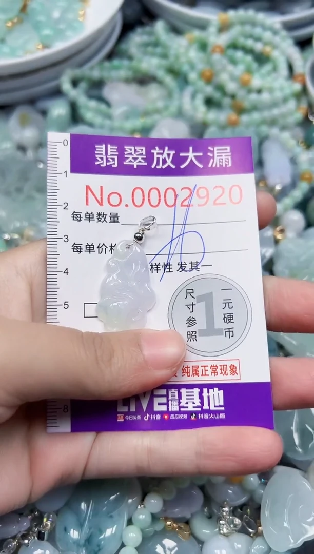 颈饰未镶嵌翡翠2920