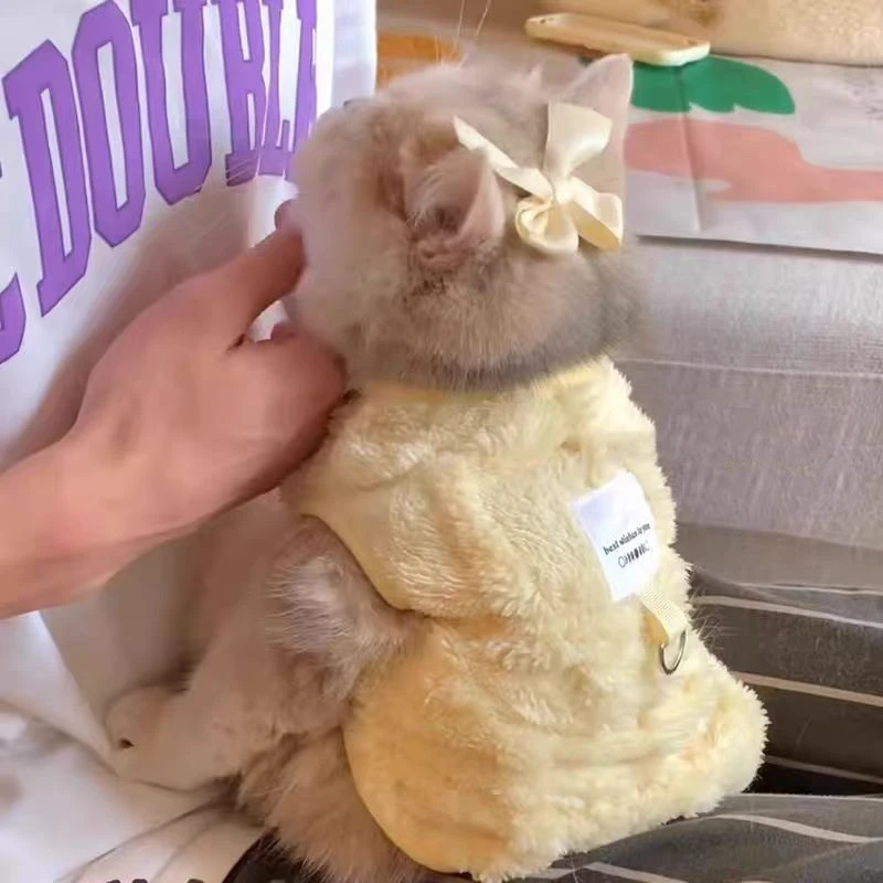 猫咪衣服冬季保暖牵引马卡龙绒绒小马甲宠物蓝猫英短布偶加厚服饰