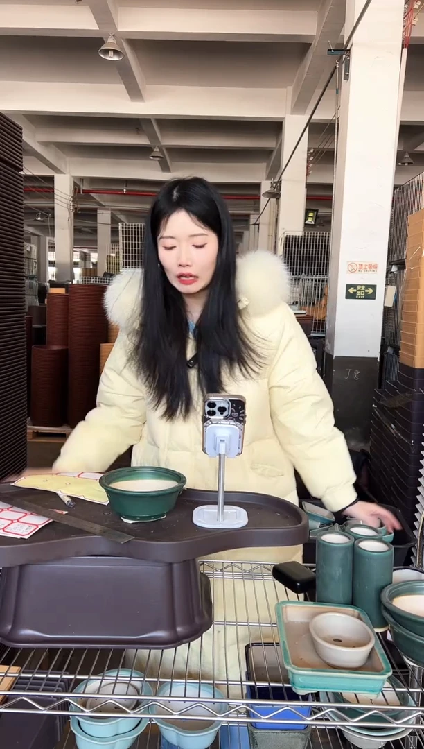 【闪购商品】陶瓷组合11两只鼓钉