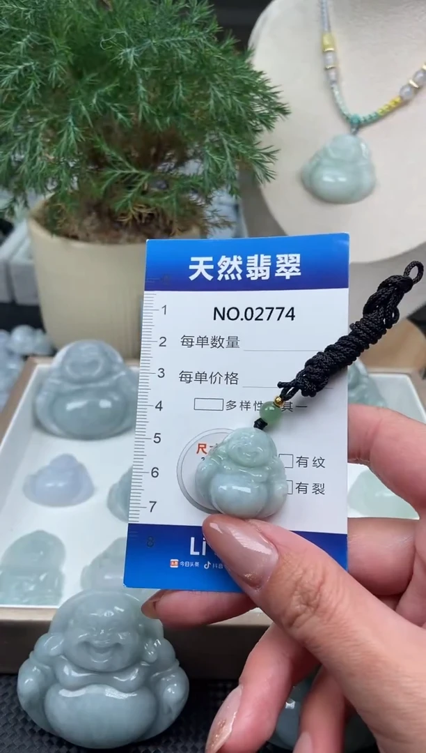 颈饰未镶嵌翡翠纯天然A货缅翡2774