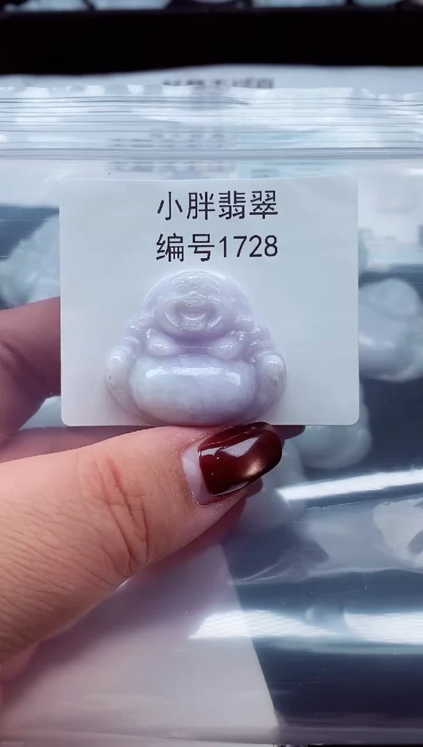 颈饰未镶嵌翡翠缅甸天然A货翡翠1728