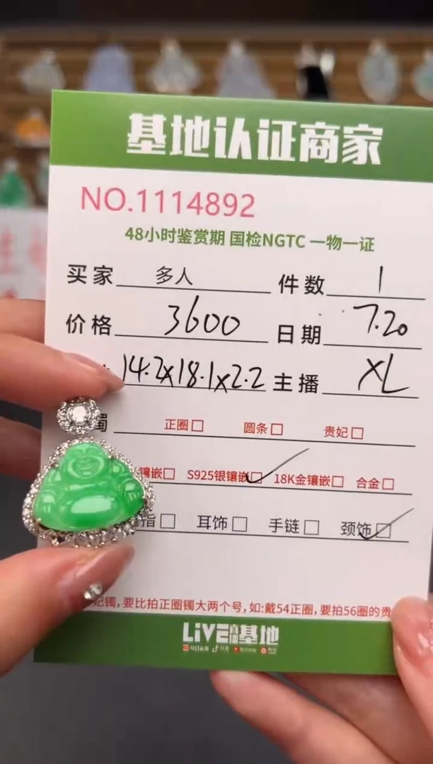 翡翠银S925镶嵌颈饰多人